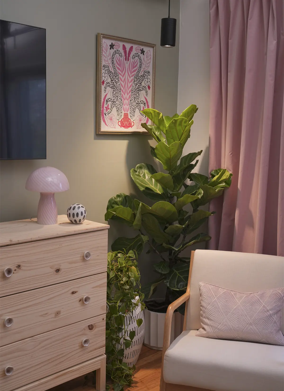 Arber × Soltech Indoor Plant Care Kit - Image 4