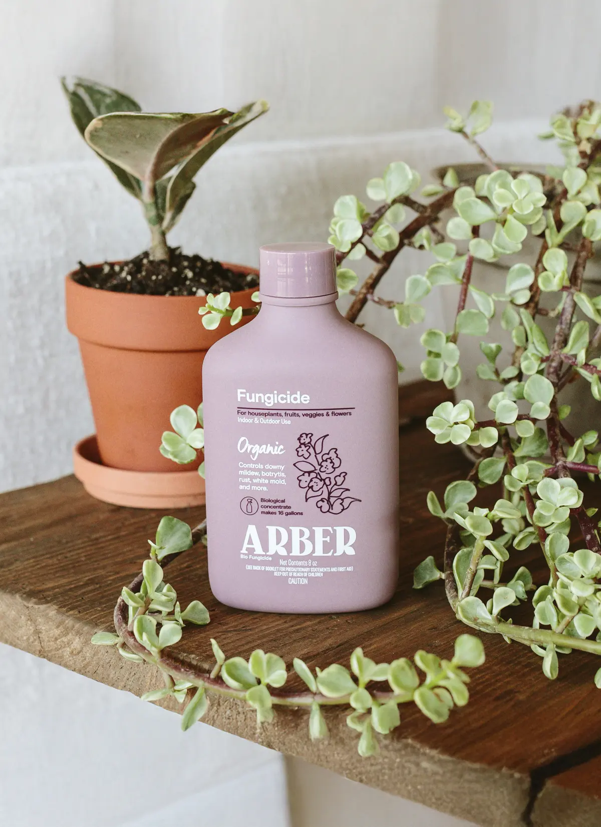Arber × Soltech Indoor Plant Care Kit - Image 6