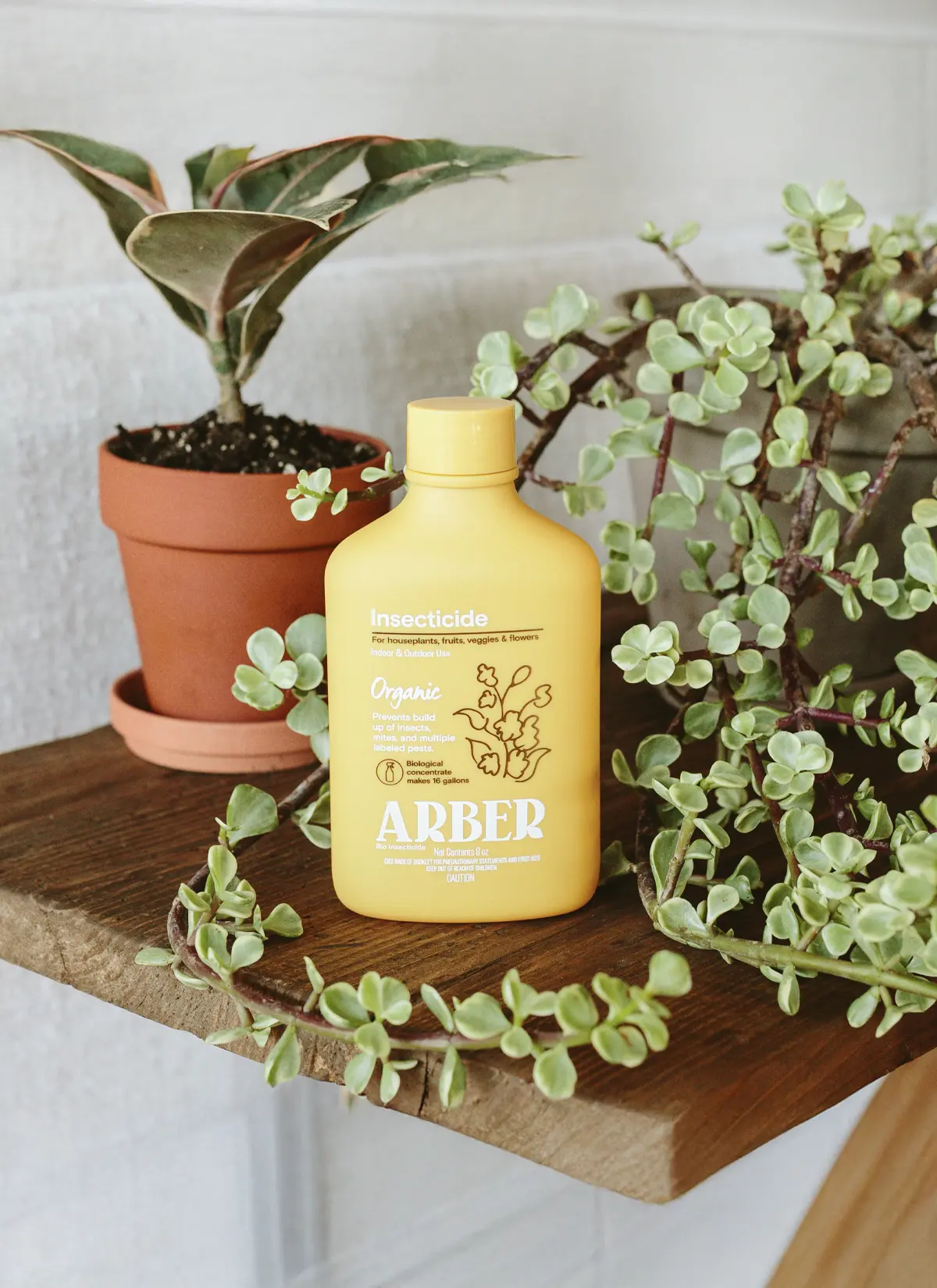 Arber × Soltech Indoor Plant Care Kit - Image 7