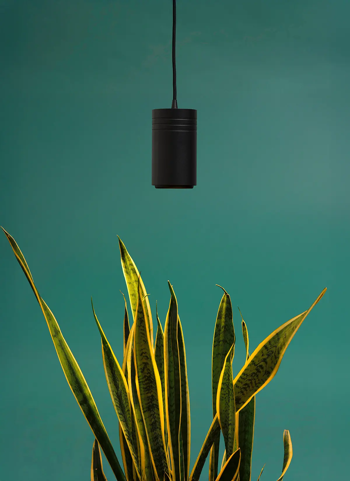 Aspect™ Gen 2 LED Growlight - Image 3