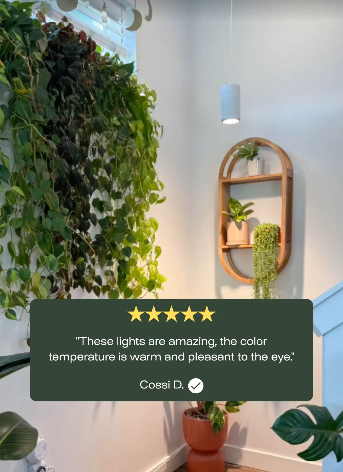 Aspect™ Gen 2 LED Growlight - Image 4