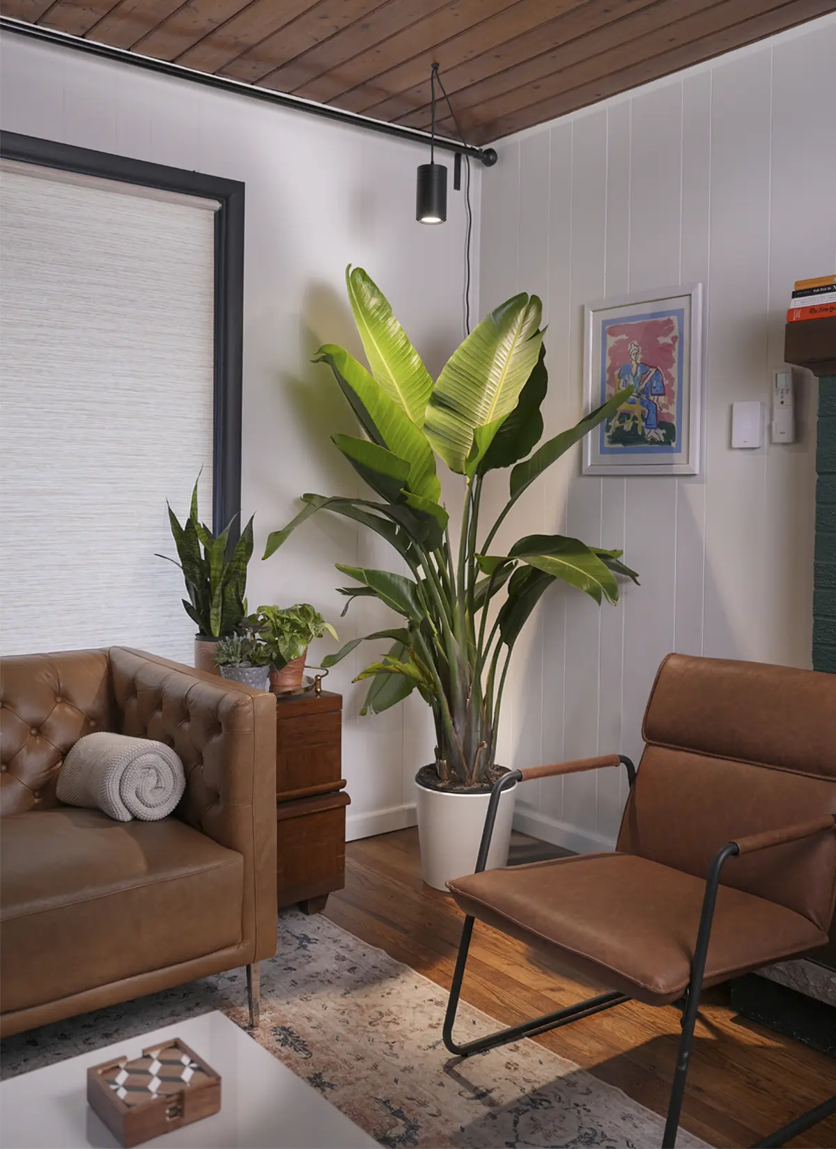 Aspect™ Gen 2 LED Growlight - Image 8