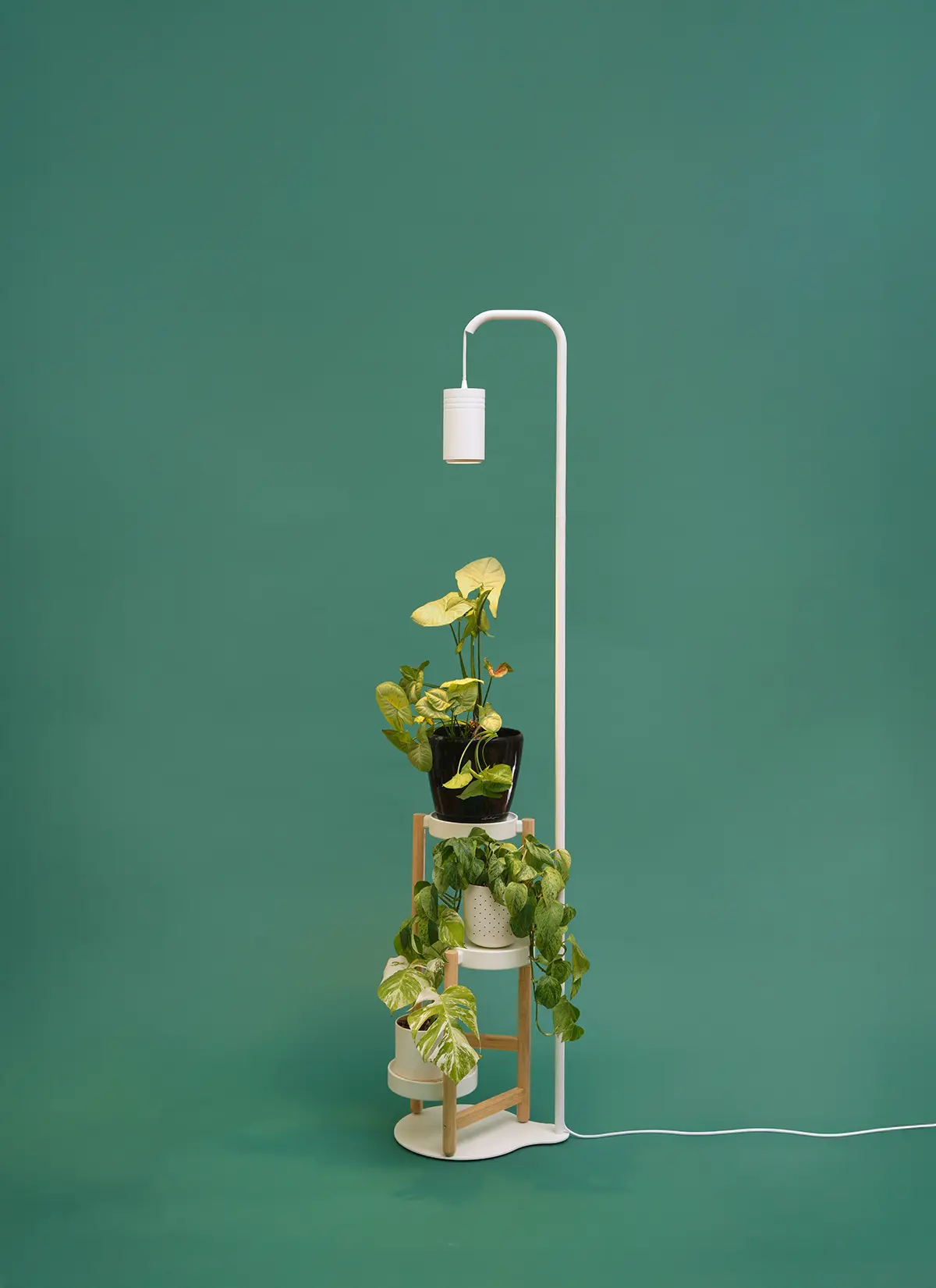Stello™ Adjustable Pendant Stand - Image 13