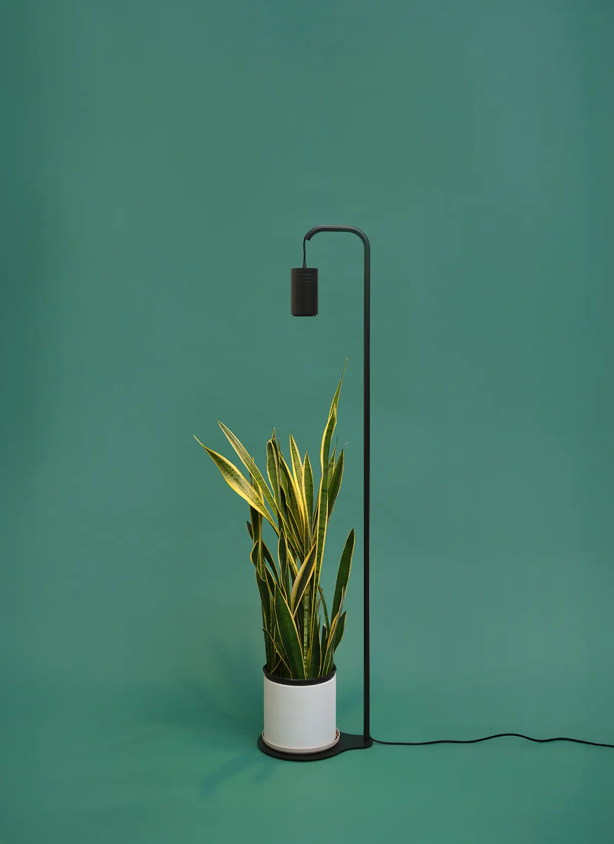 Aspect™ Grow Light with Stello™ Pendant Stand Set - Image 14