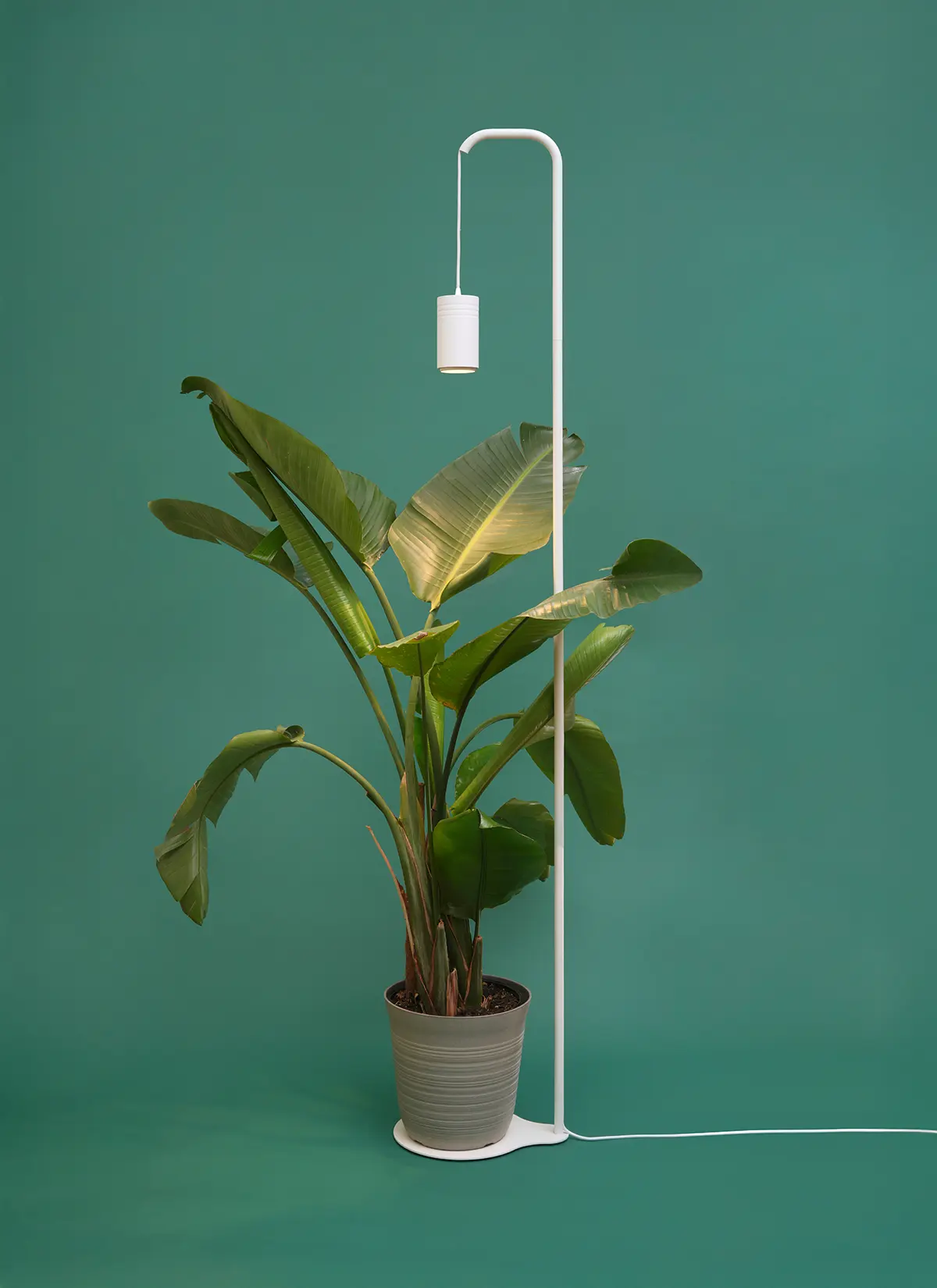 Aspect™ Grow Light with Stello™ Pendant Stand Set - Image 3