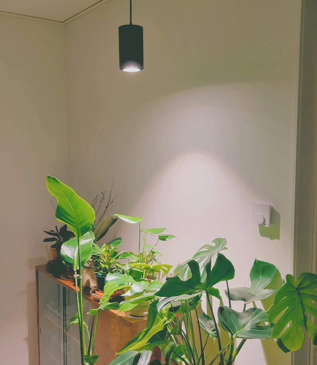 Refurbished Aspect™ LED Growlight - Lightly Loved - Image 9