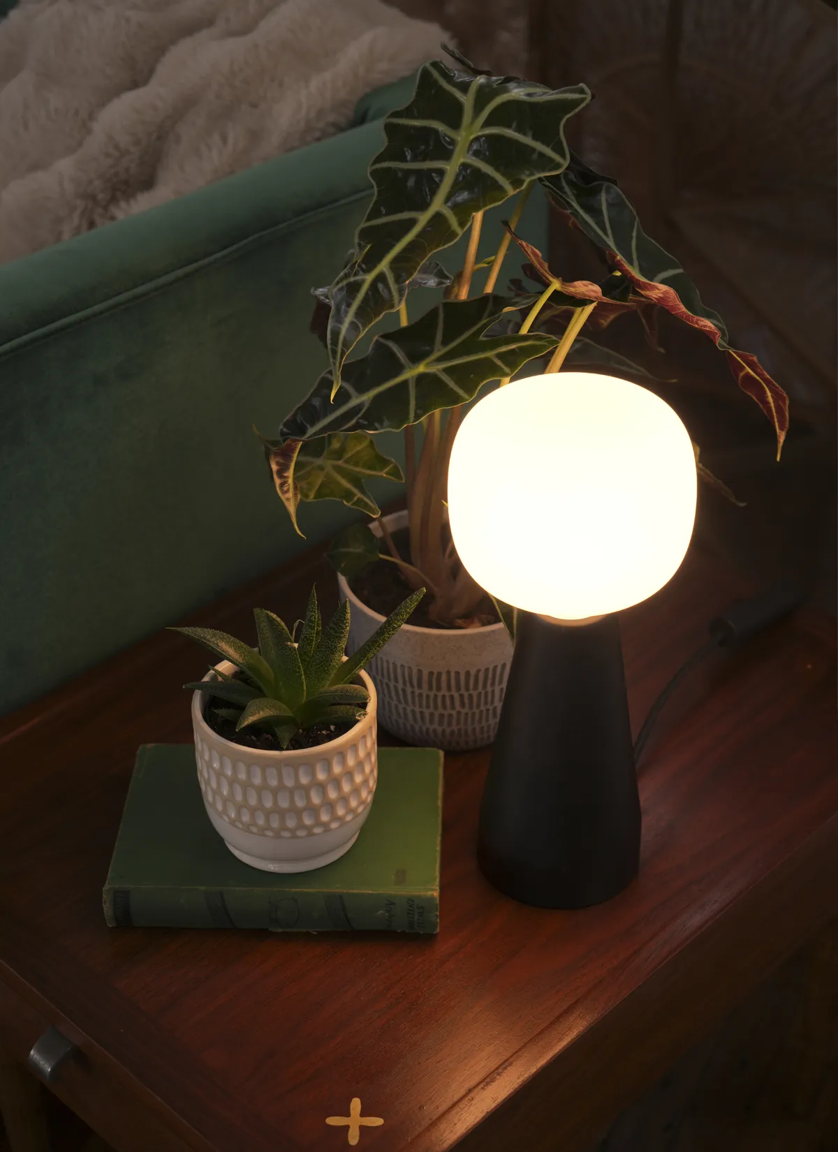 Aura™ Ambient Grow Light - Image 13