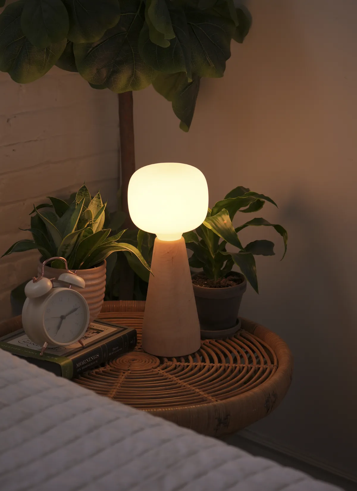 Aura™ Ambient Grow Light - Image 14