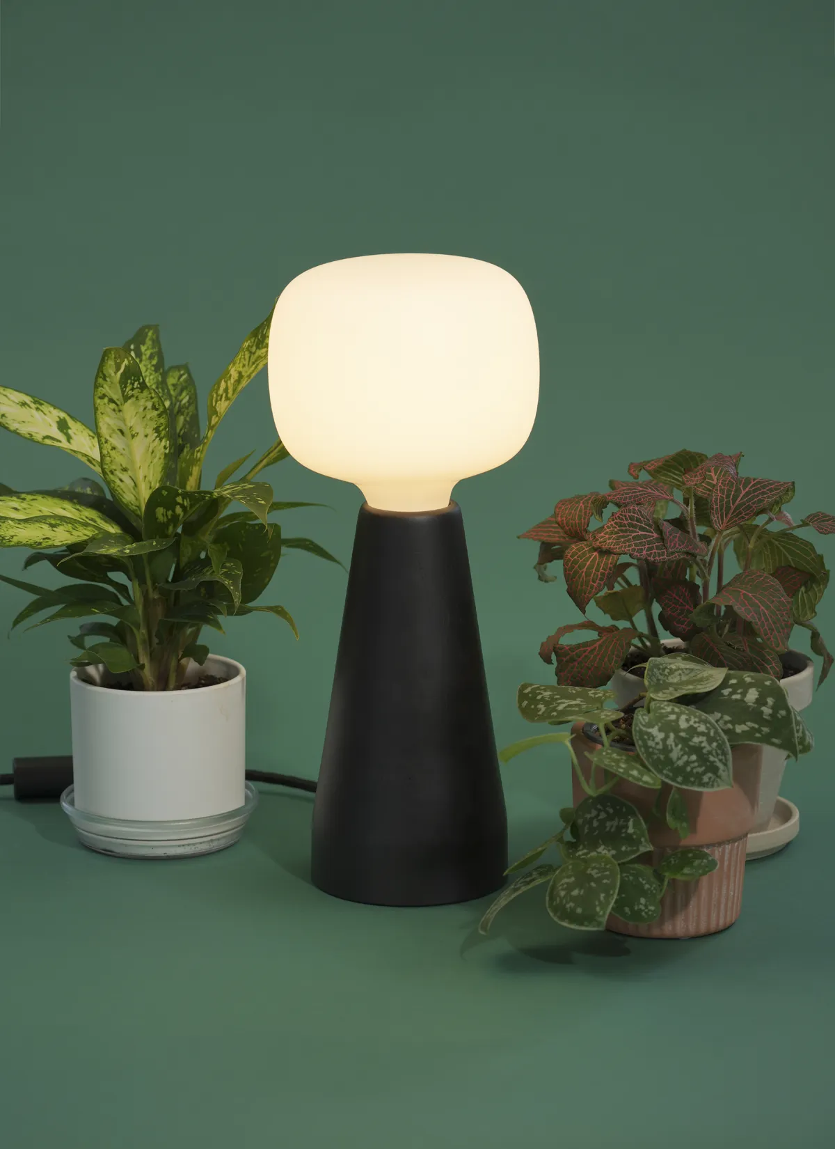 Aura™ Ambient Grow Light - Image 3