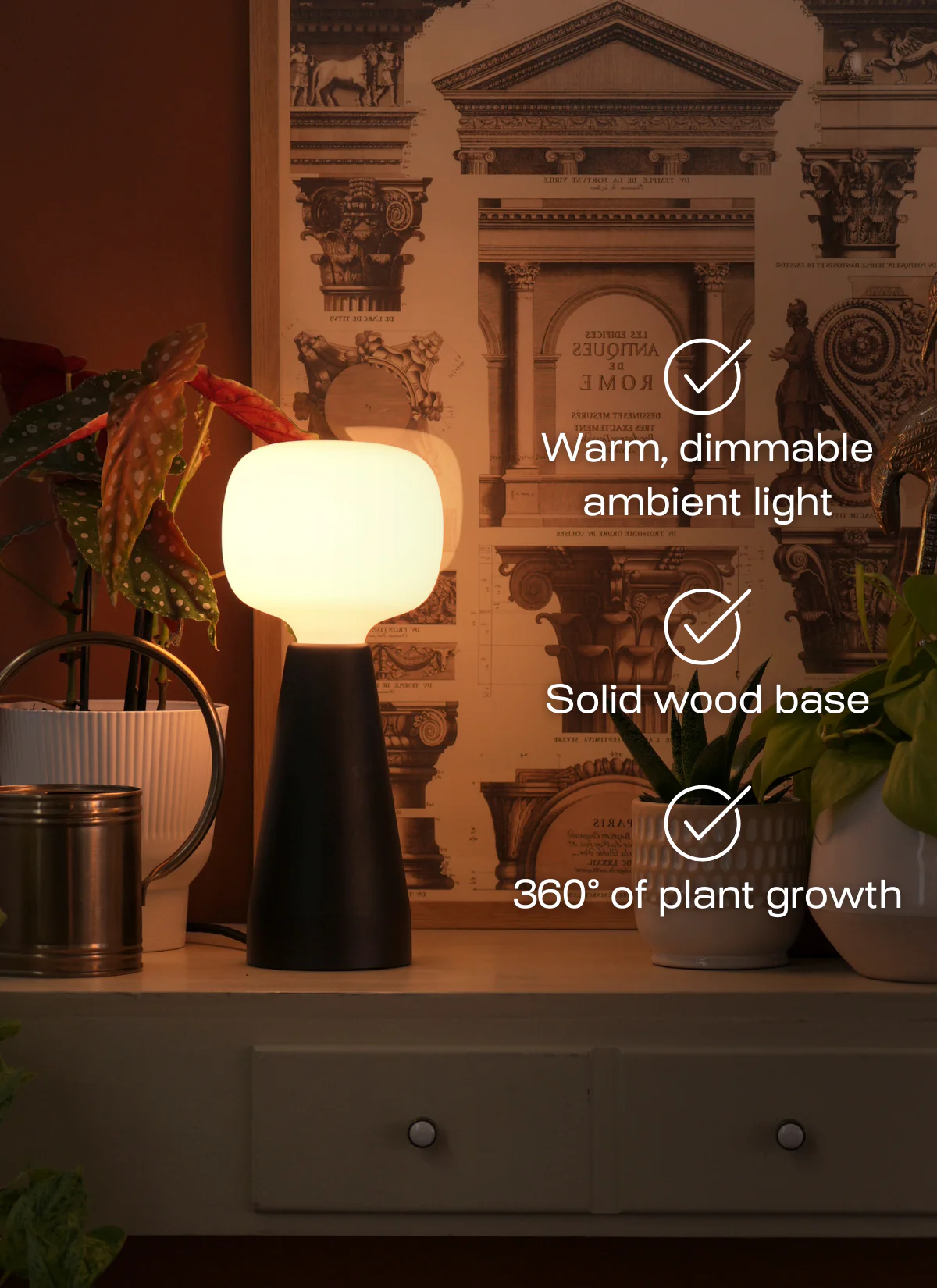 Aura™ Ambient Grow Light - Image 5