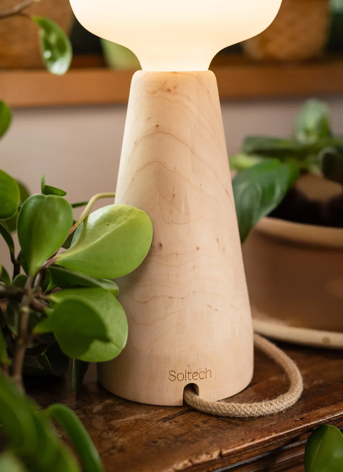 Aura™ Ambient Grow Light - Image 6