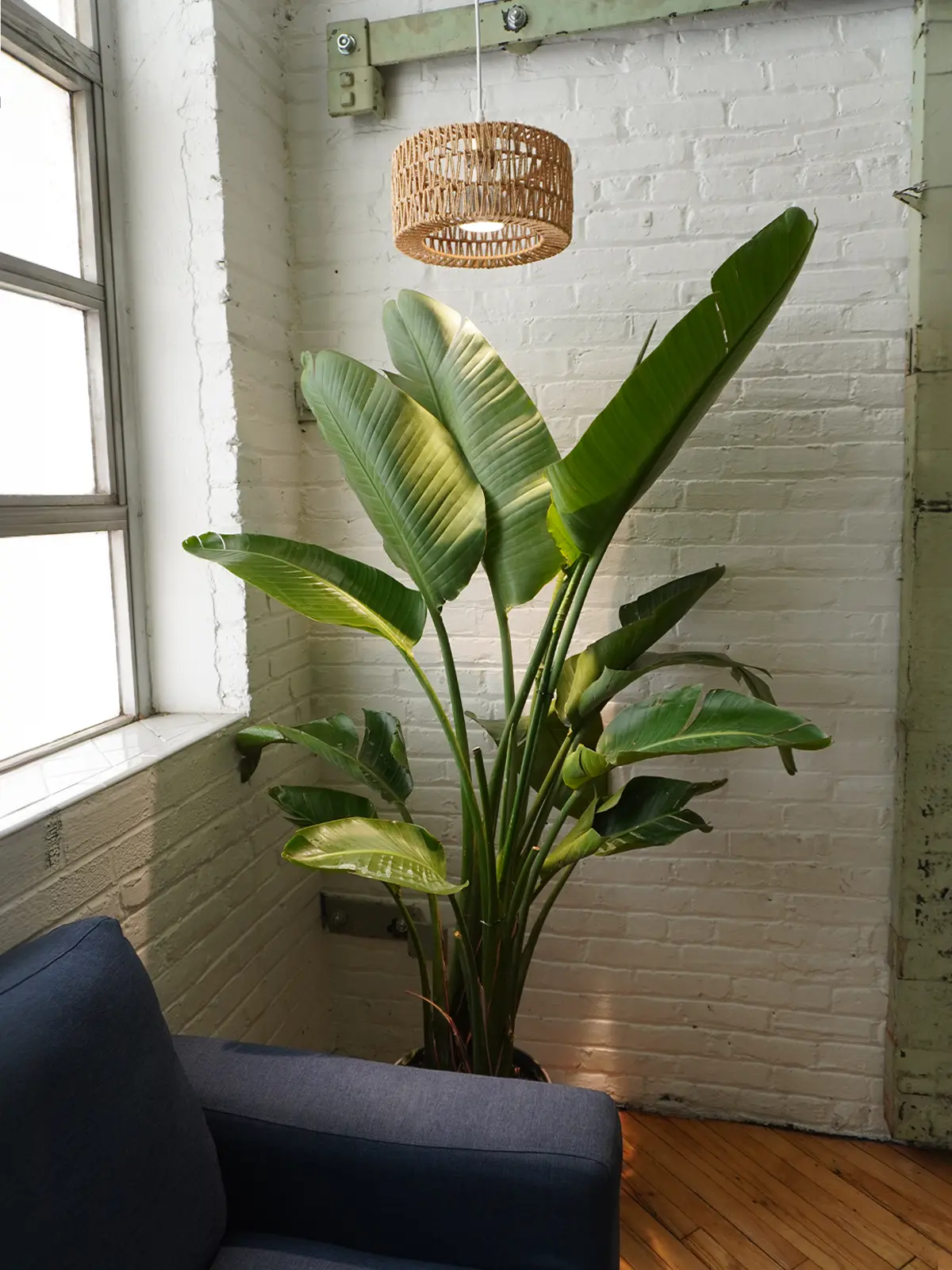 Colette - Woven Rope Lampshade - Image 4