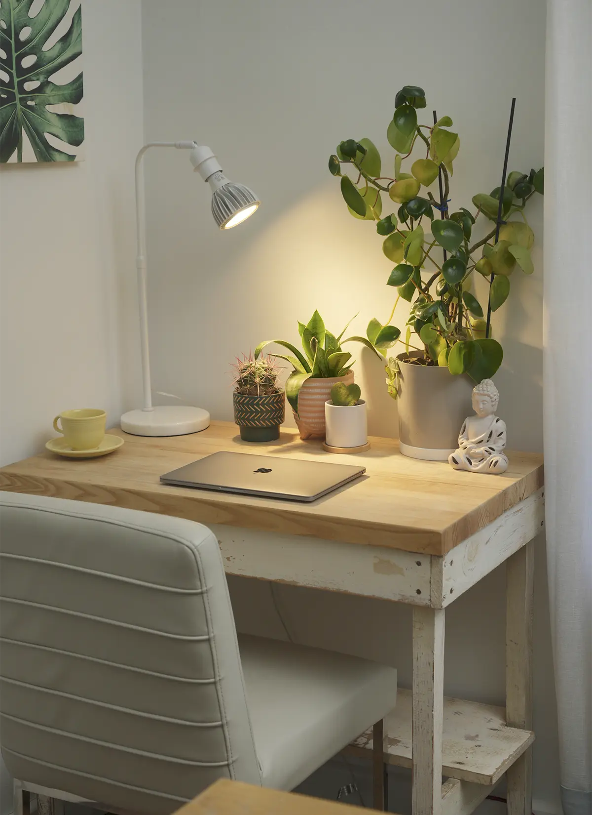 Fern™ Vita LED Grow Bulb Adjustable Tabletop Lampstand - Image 12