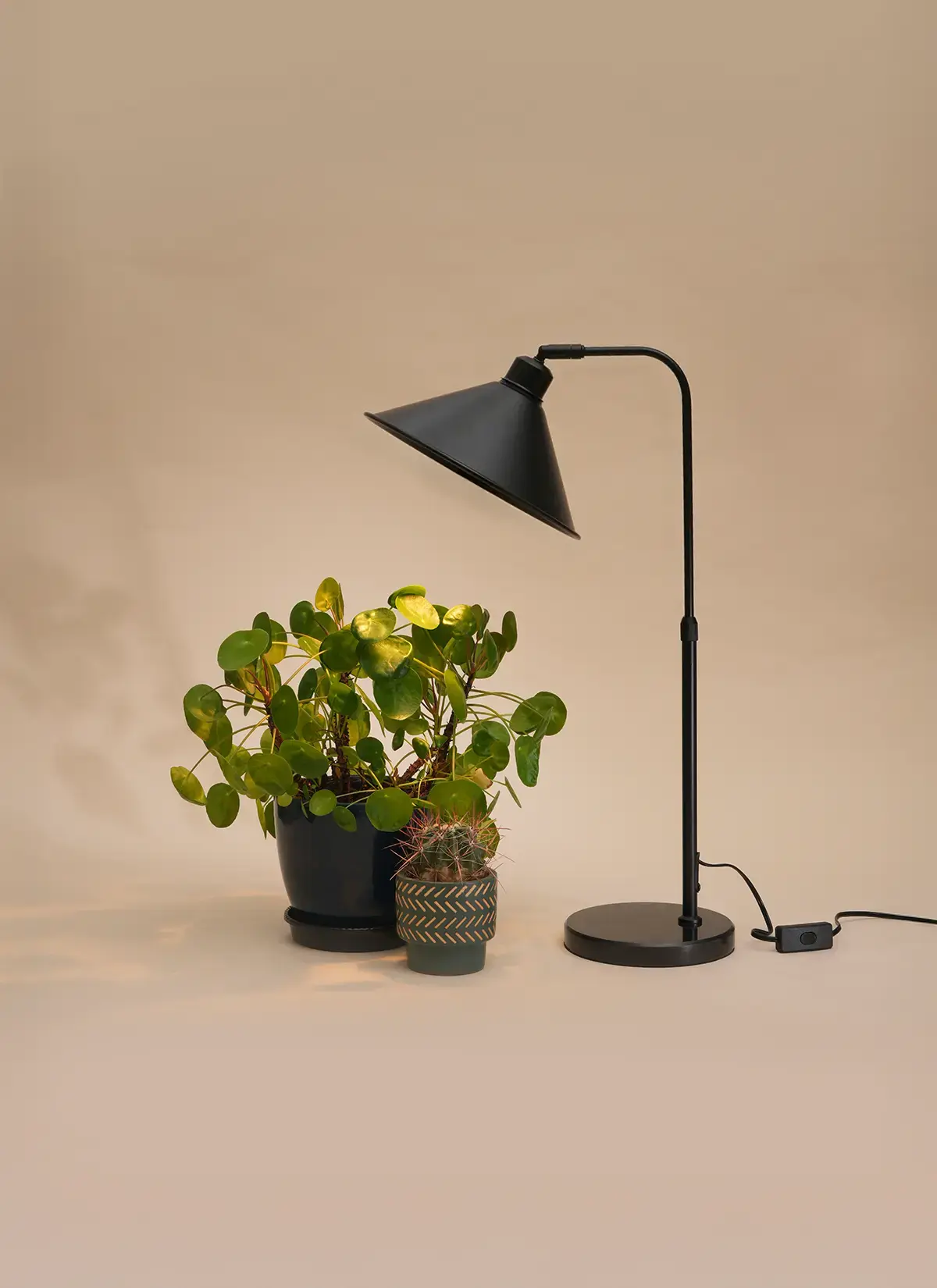 Fern™ Vita LED Grow Bulb Adjustable Tabletop Lampstand - Image 13