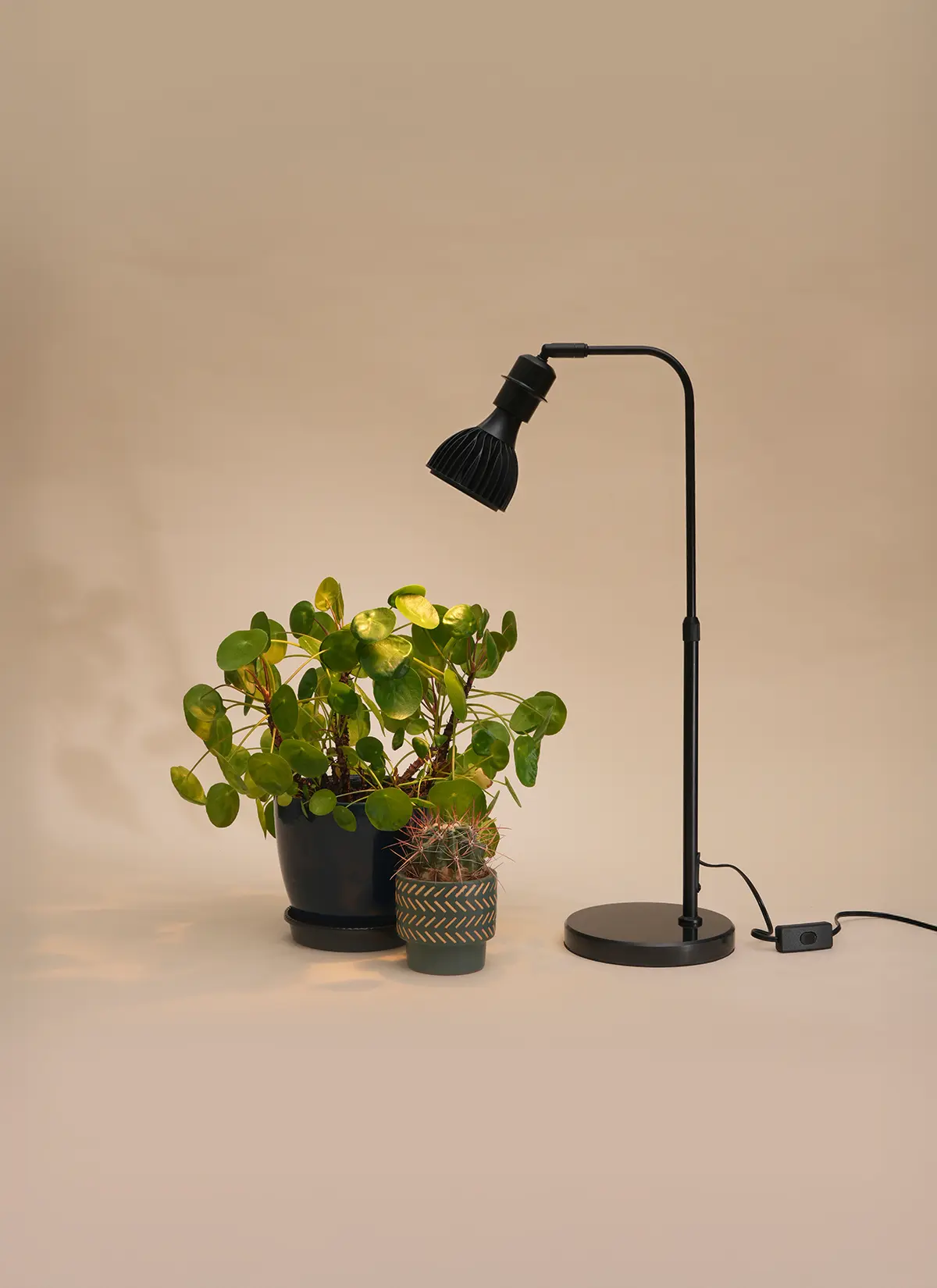 Fern™ Vita LED Grow Bulb Adjustable Tabletop Lampstand - Image 18