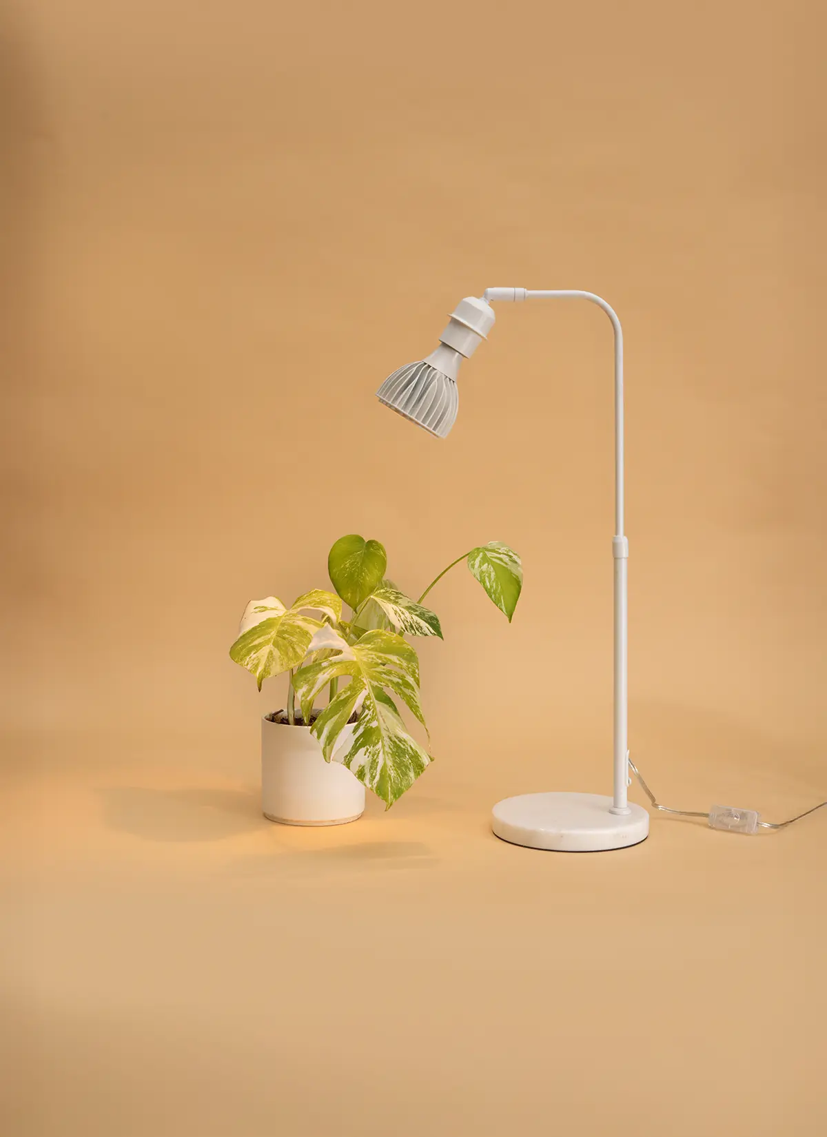 Fern™ Vita LED Grow Bulb Adjustable Tabletop Lampstand - Image 23