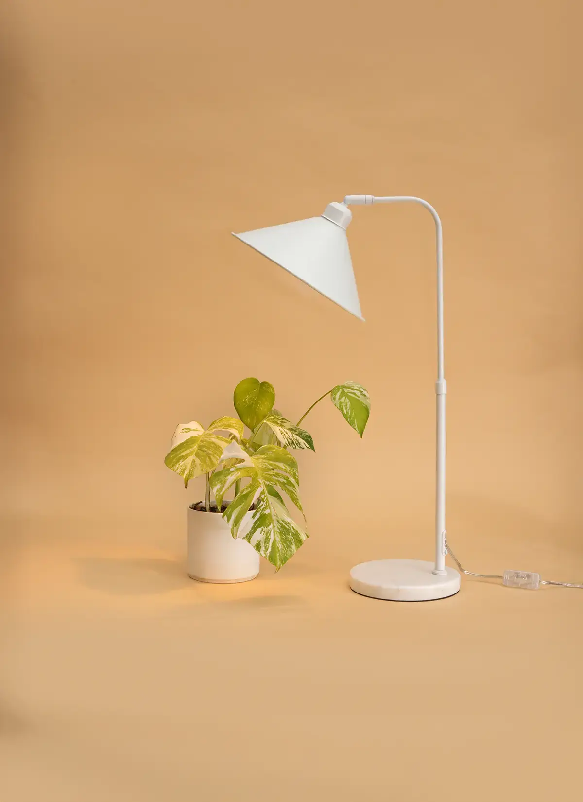 Fern™ Vita LED Grow Bulb Adjustable Tabletop Lampstand - Image 25