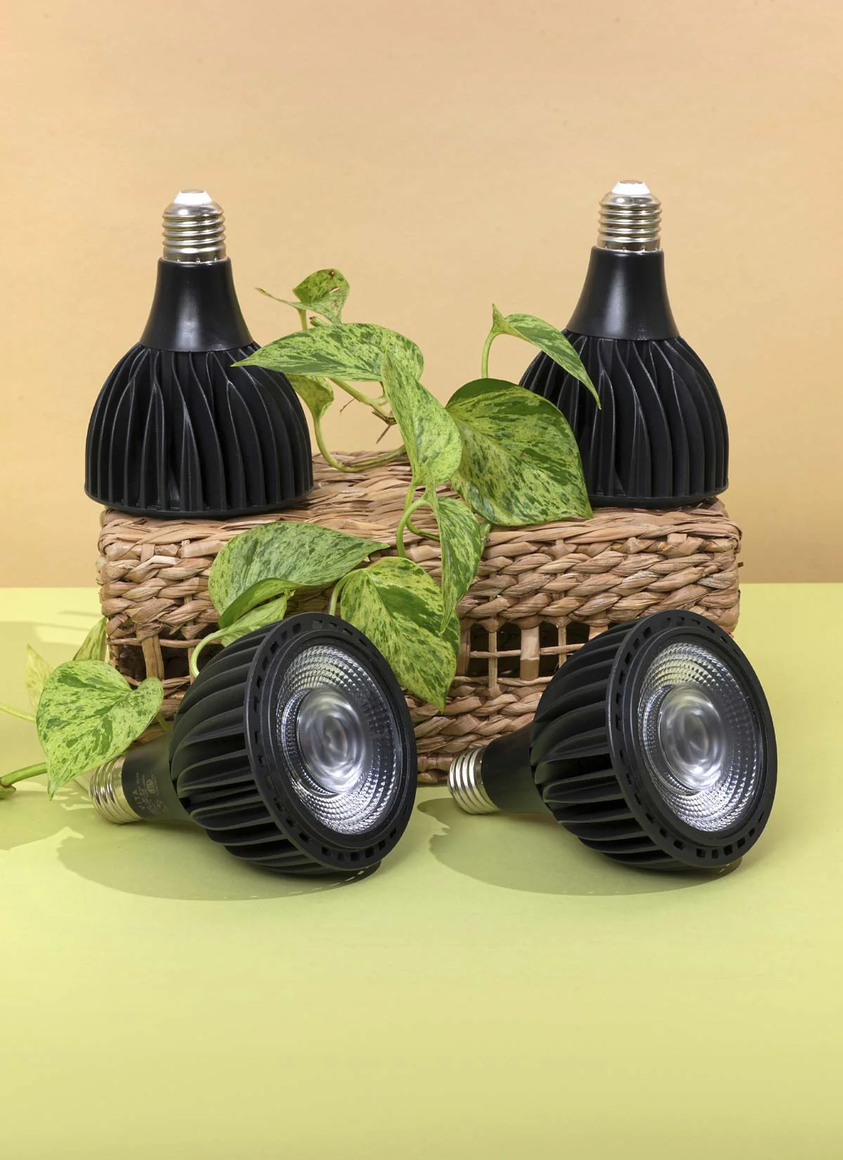 Greenfit™ Kit (Vita 4-Pack) - Image 3