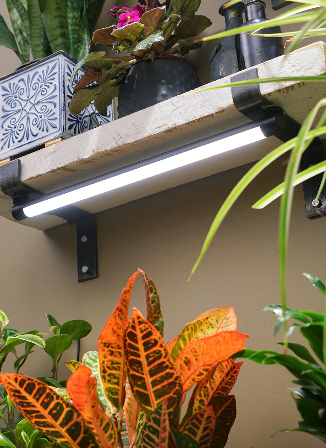 Grove™ LED Grow Light - Image 4