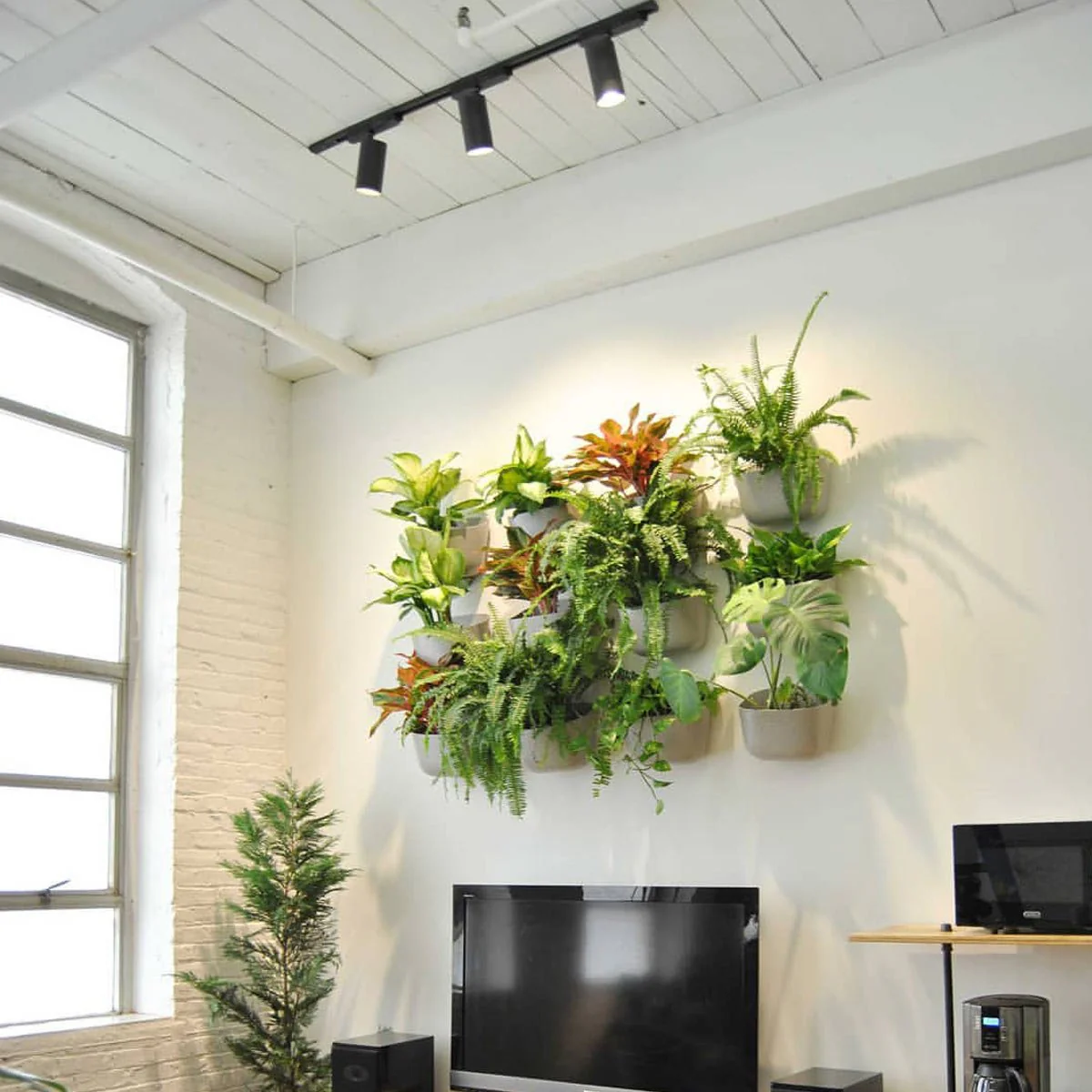 Hardwired Highland™ Track Light System - Image 6