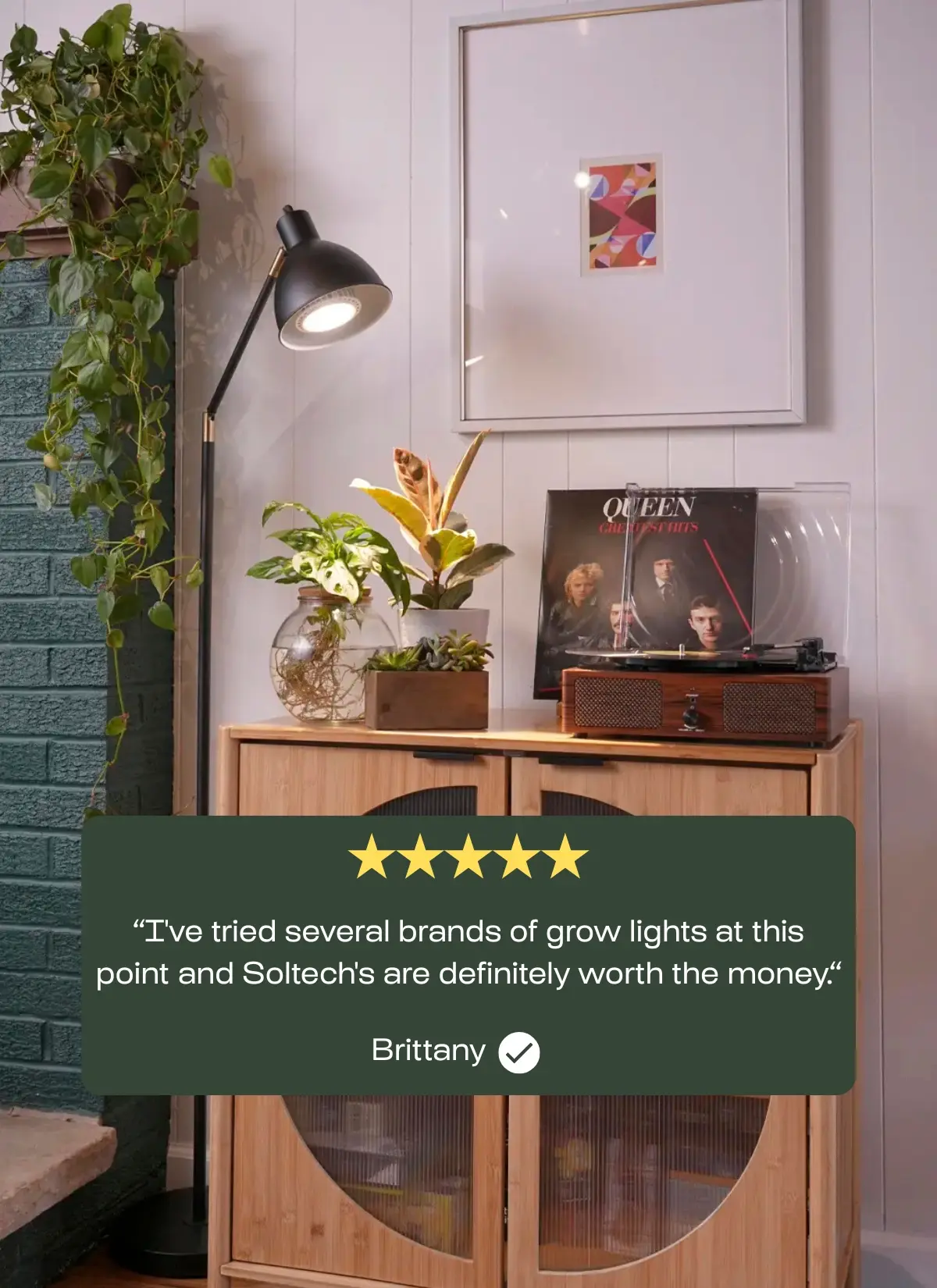 Vita™ Grow Light - Image 5