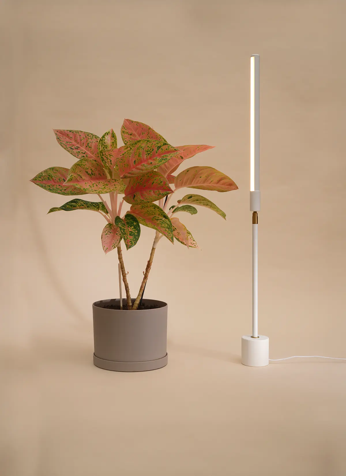 Versa™ Tabletop Grow Light - Image 13
