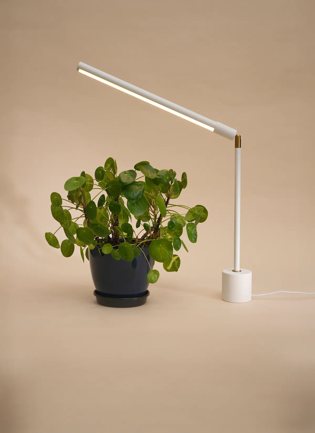 Versa™ Tabletop Grow Light - Image 3