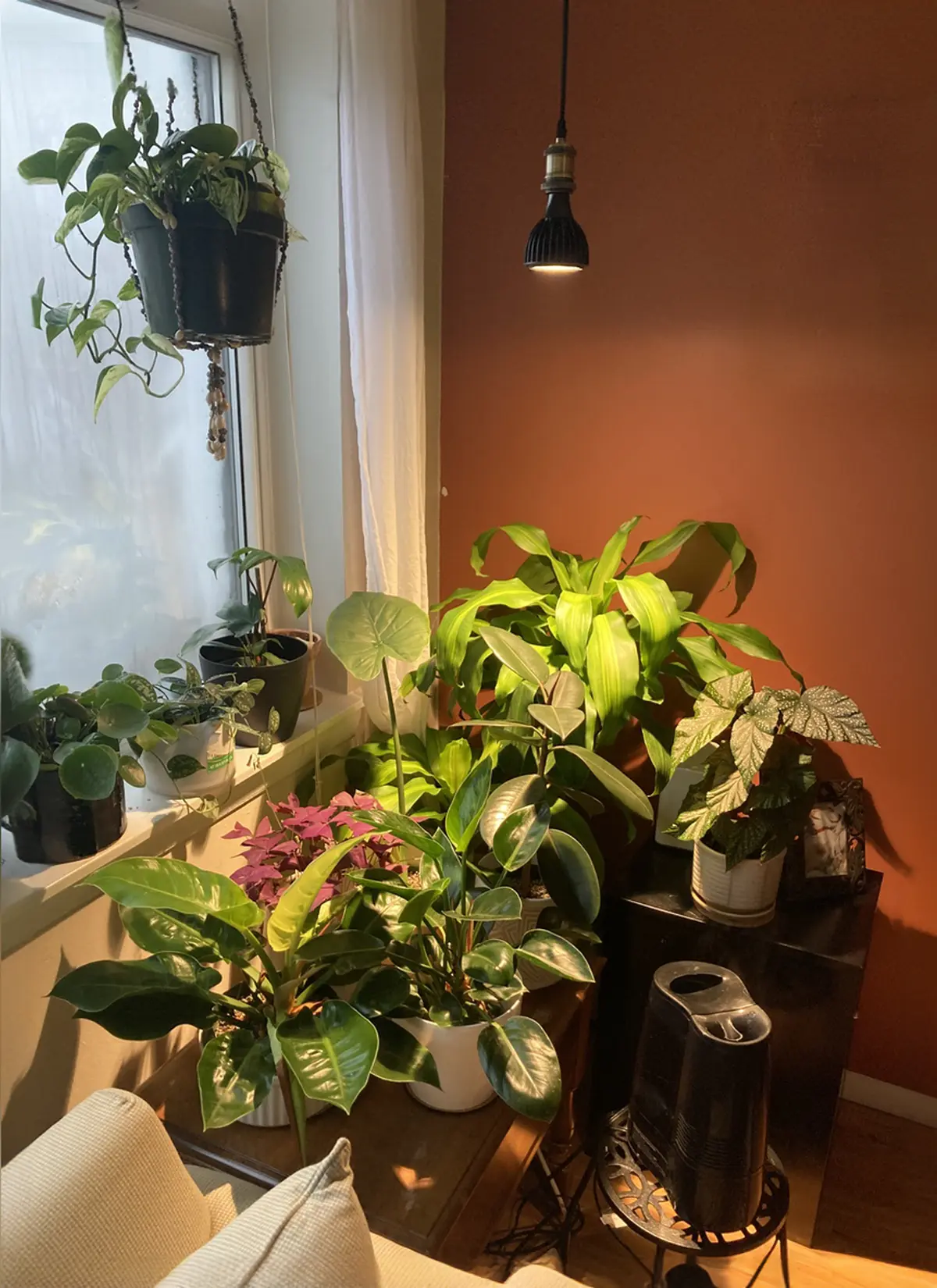 Vita Get Growing Kit - Image 14