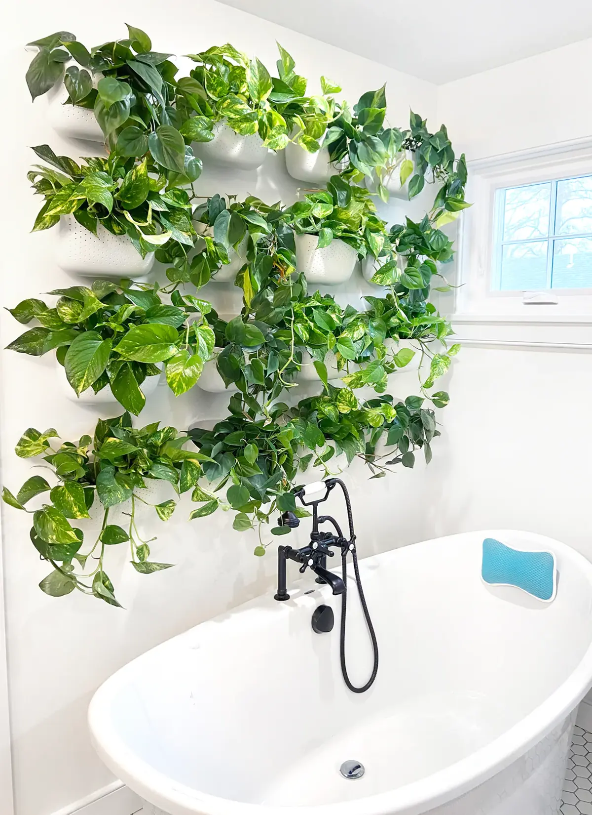 WallyGrow Eco Wall Planter - Image 4