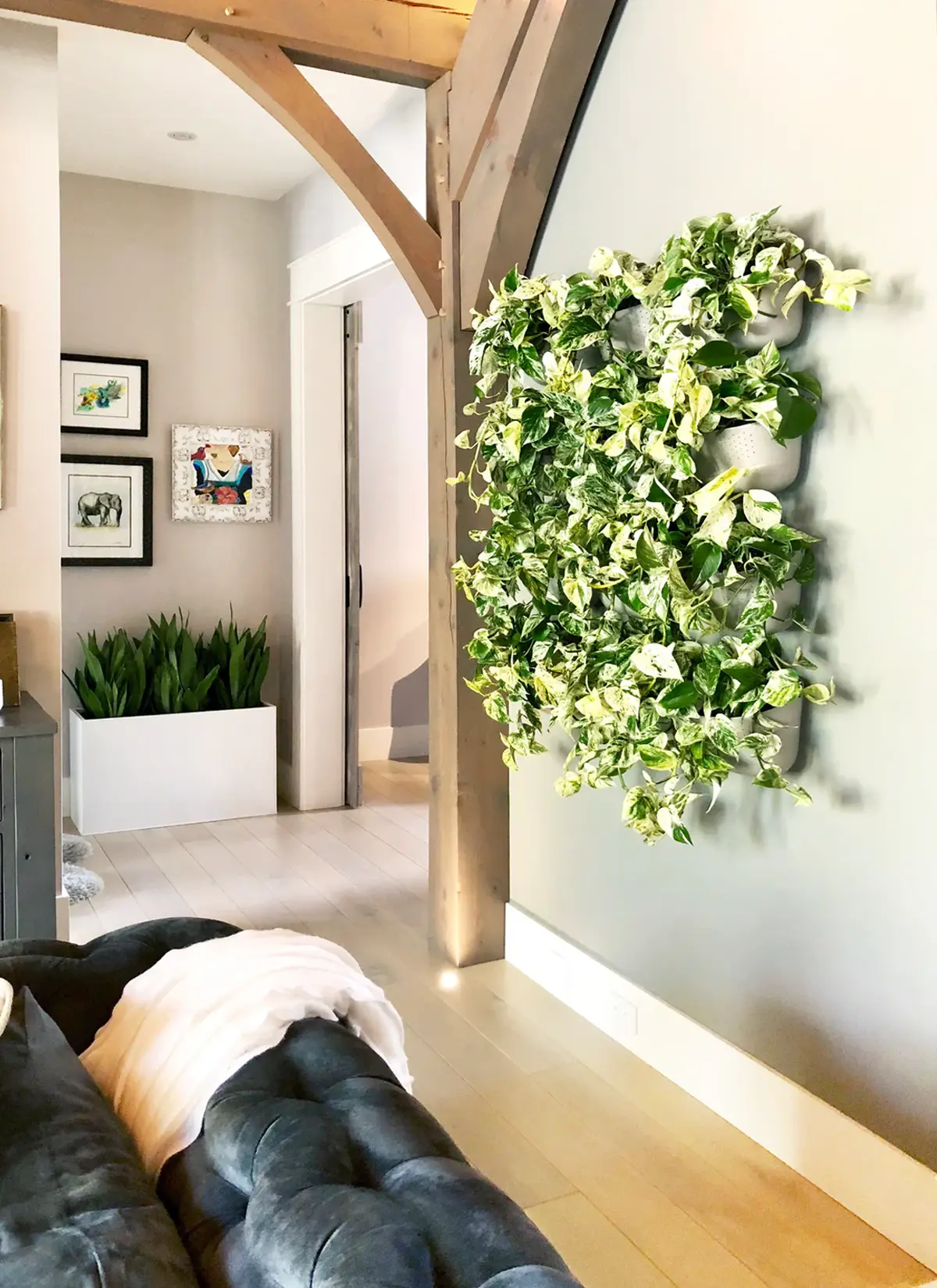 WallyGrow Eco Wall Planter - Image 6