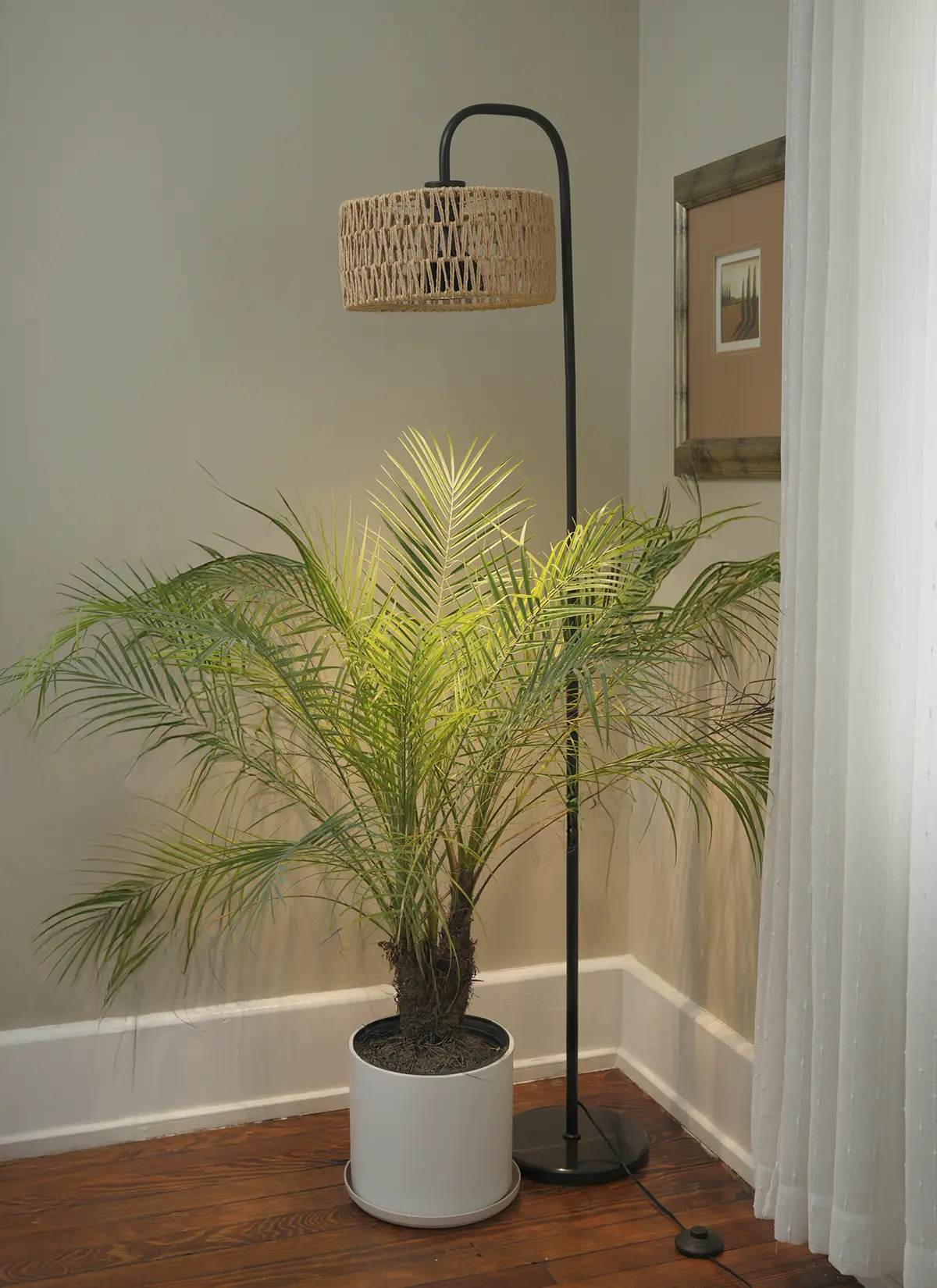 Willow™ Vita LED Grow Bulb Floor Lampstand - Image 11