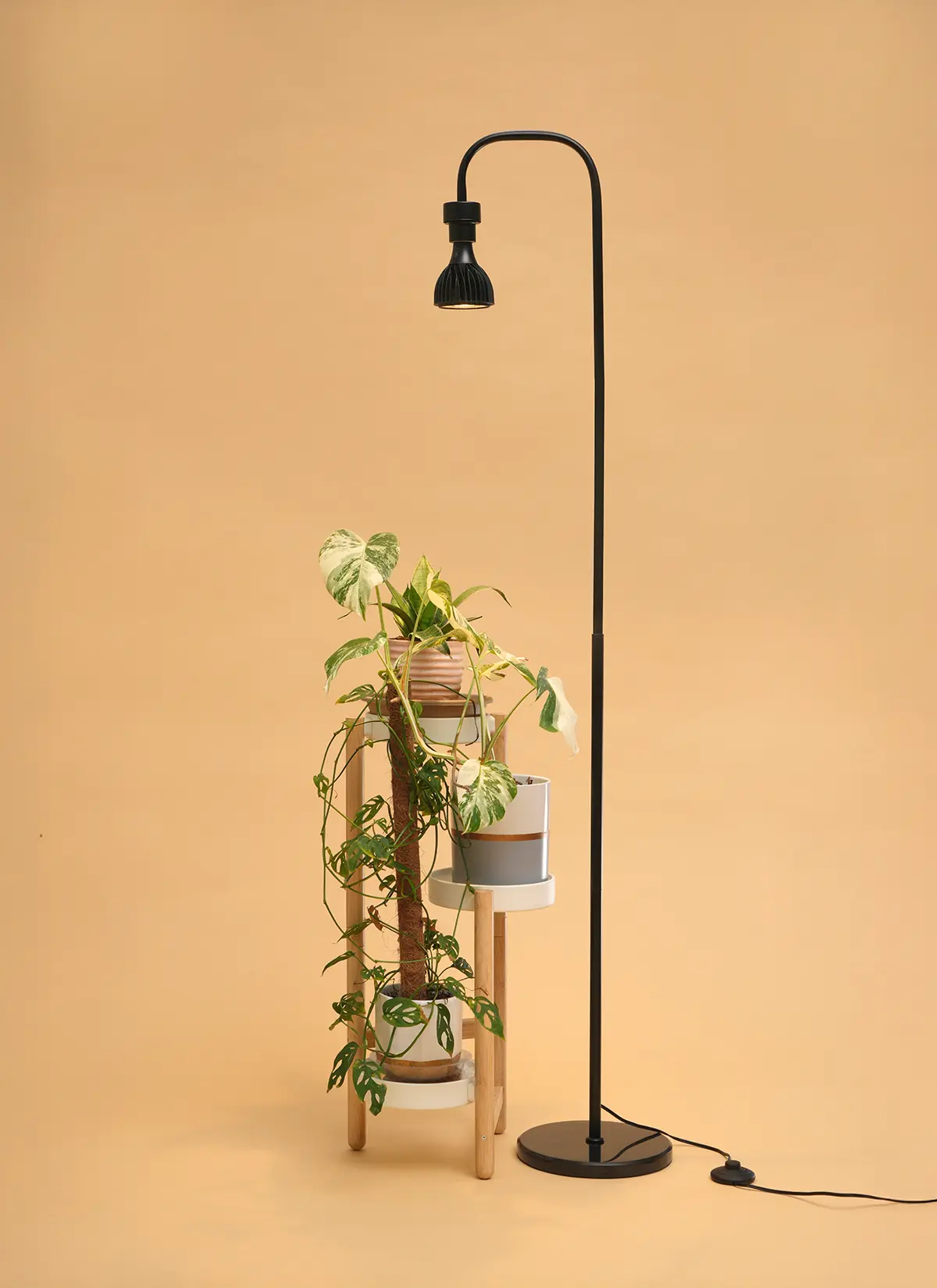 Willow™ Vita LED Grow Bulb Floor Lampstand - Image 13