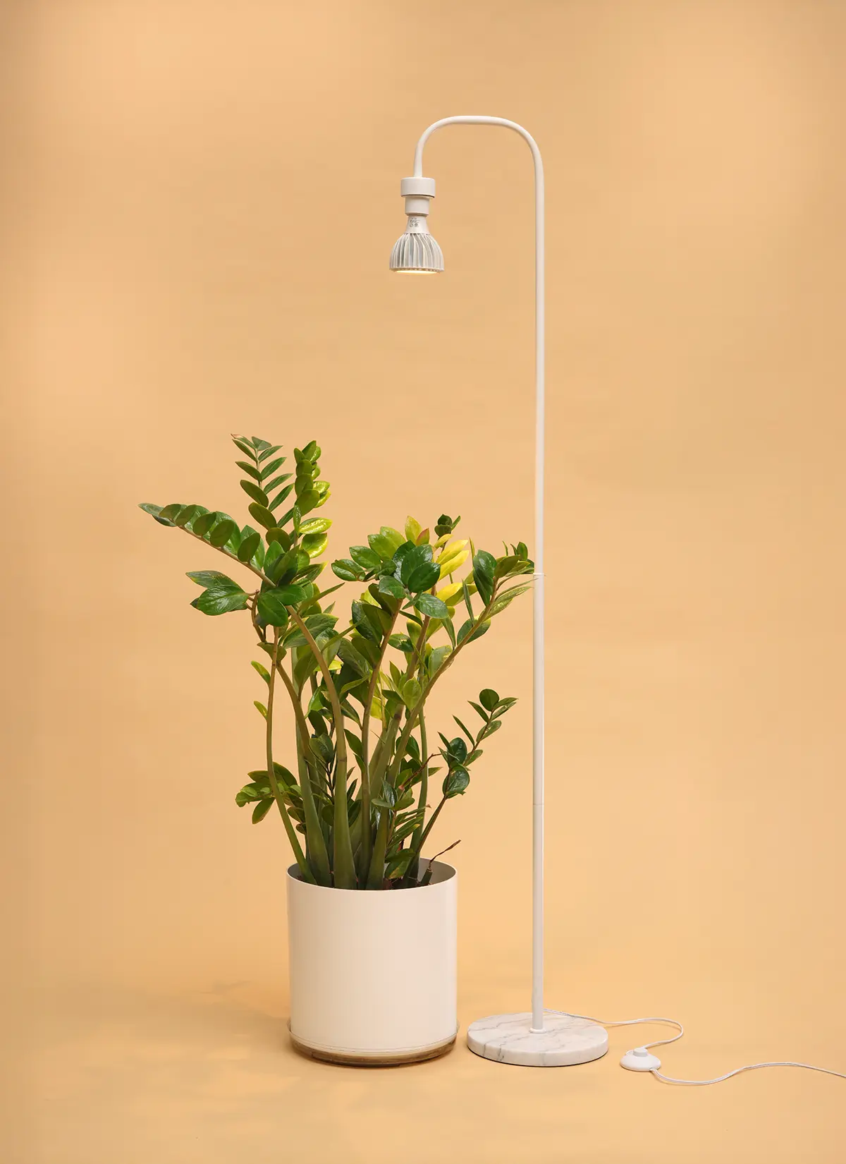 Willow™ Vita LED Grow Bulb Floor Lampstand - Image 15