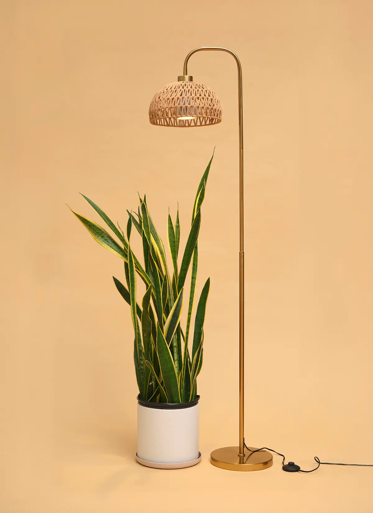 Willow™ Vita LED Grow Bulb Floor Lampstand - Image 27