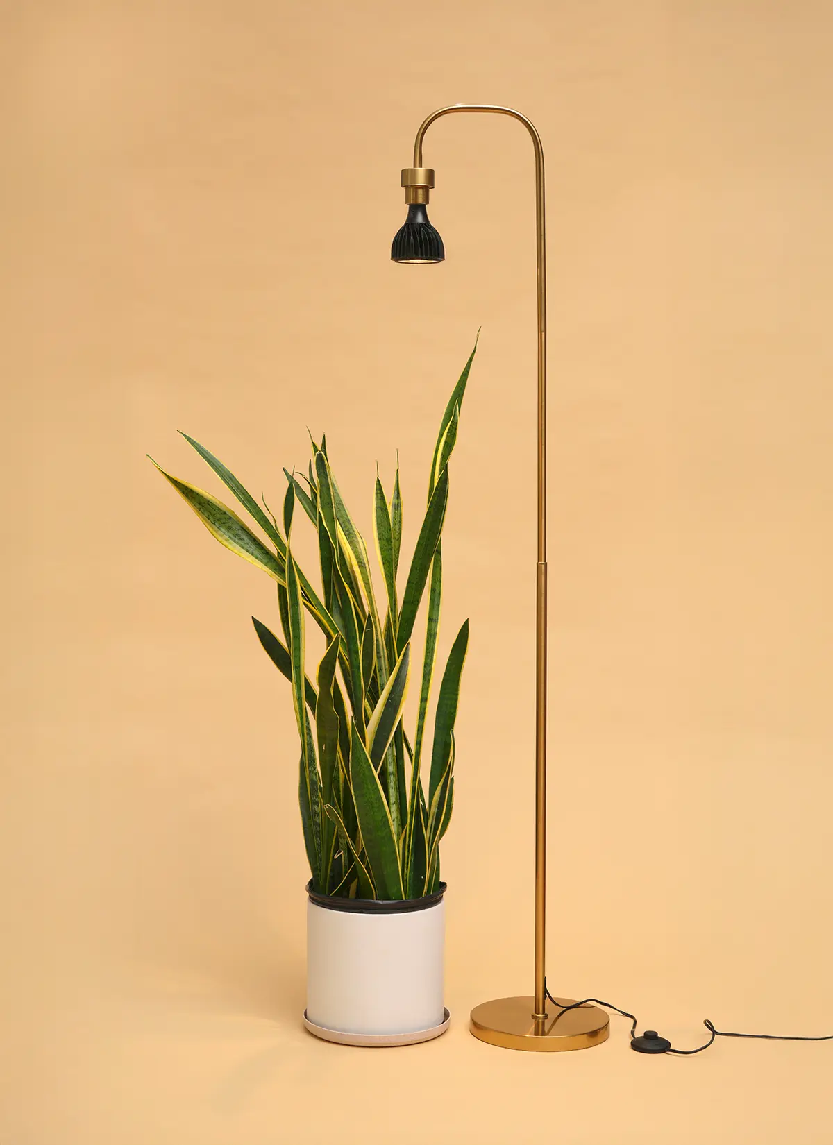 Willow™ Vita LED Grow Bulb Floor Lampstand - Image 29